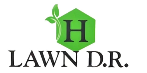 Lawn DR Landscaping