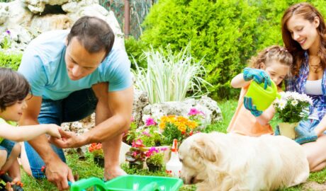 How to find a reputable landscaping company in San Antonio, Texas