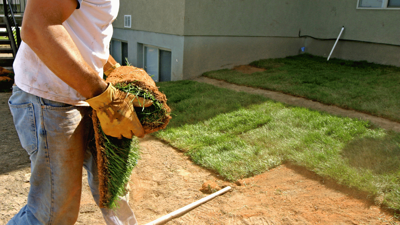 Elevate-Your-Curb-Appeal-Unlock-the-Power-of-Professional-Landscaping-Services