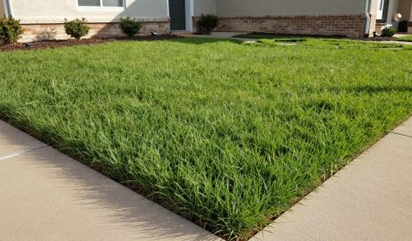 Prepare your San Antonio lawn for summer heat with a practical checklist for mowing, irrigation, soil, beds, and maintenance.